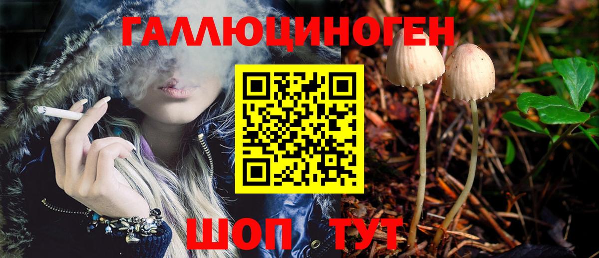 Орехово-Зуево  Галлюциногенные грибы Cubensis  Вход с VPN 